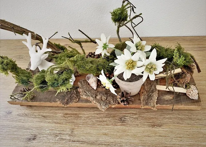 Edelweiss