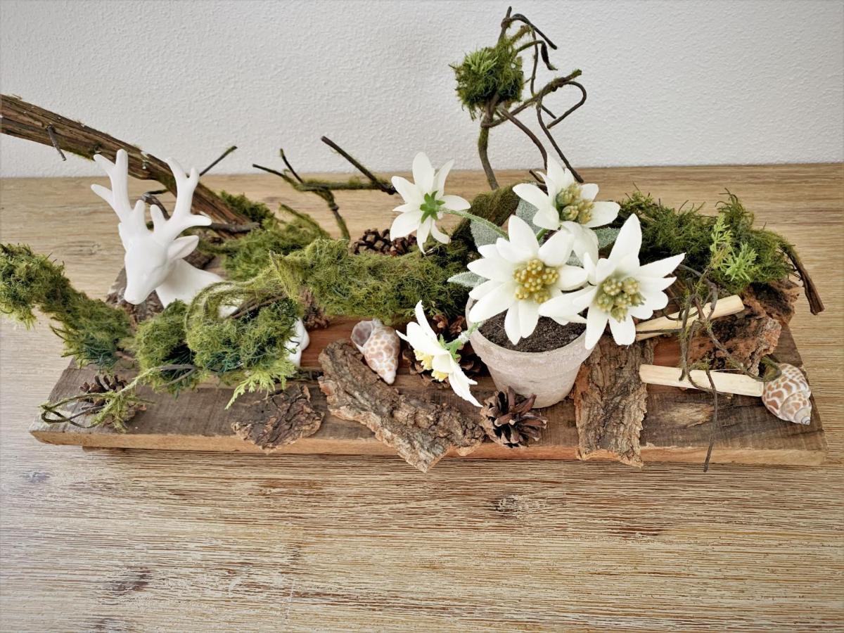 Apartment Edelweiss